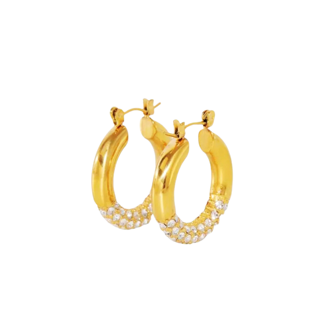 Shine hoops