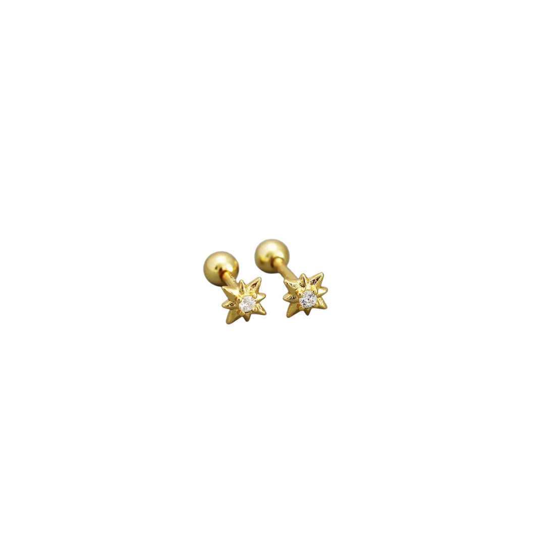 Tiny piercings studs