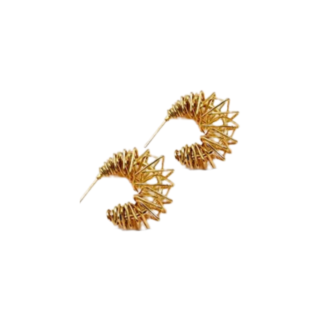 Venecia hoops