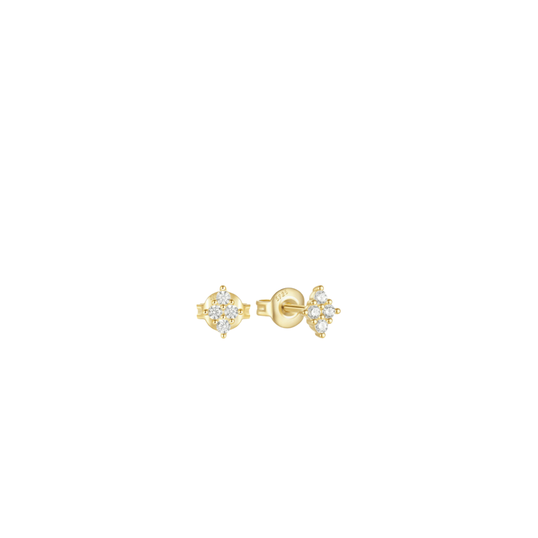 Shine piercings studs