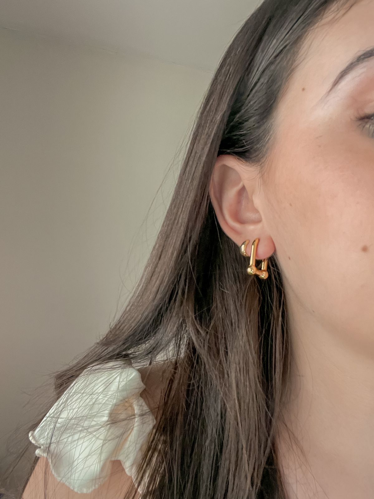 link hoops (Removable)