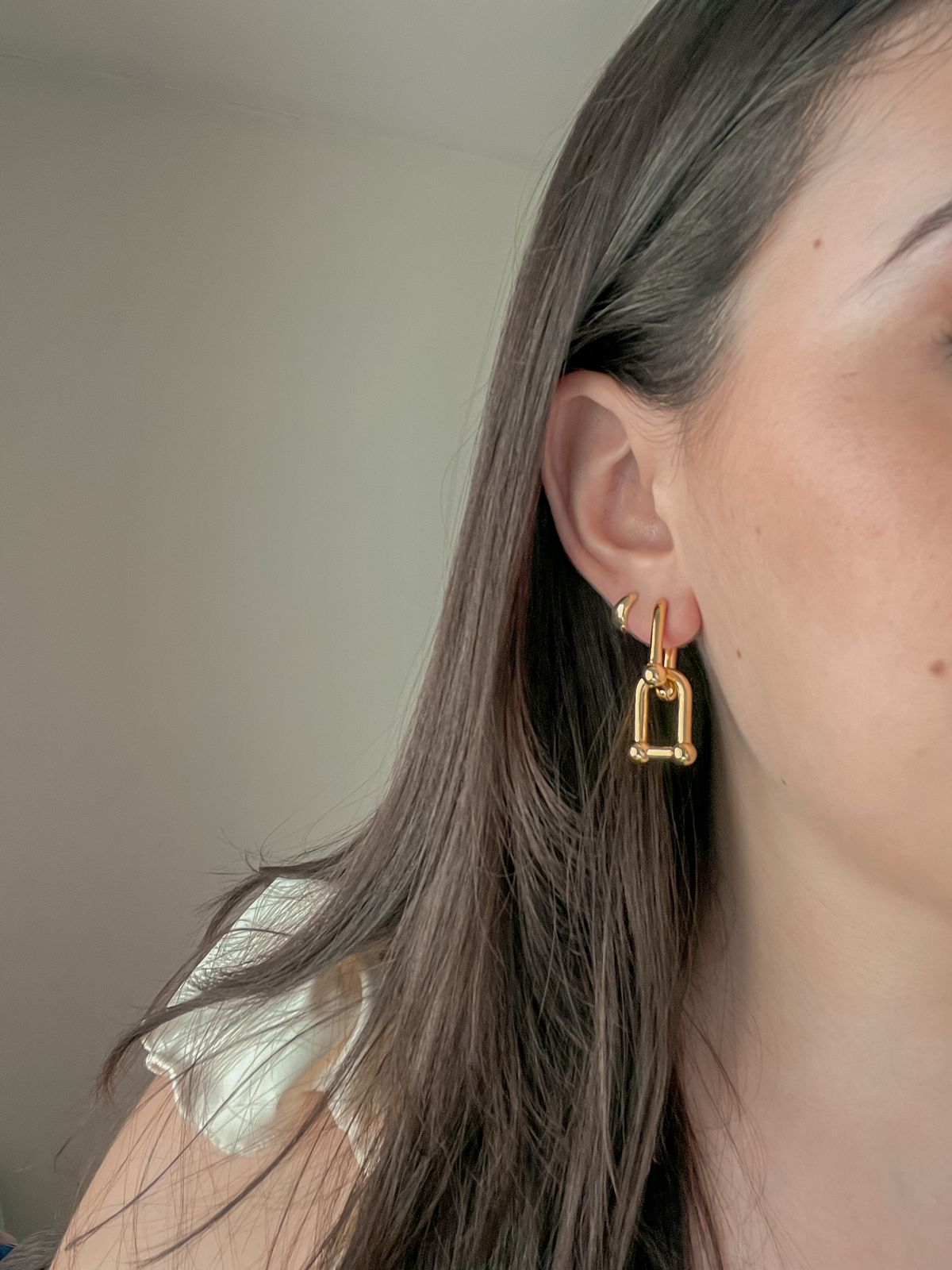 link hoops (Removable)